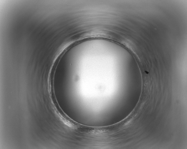 X0000066971082200603311443