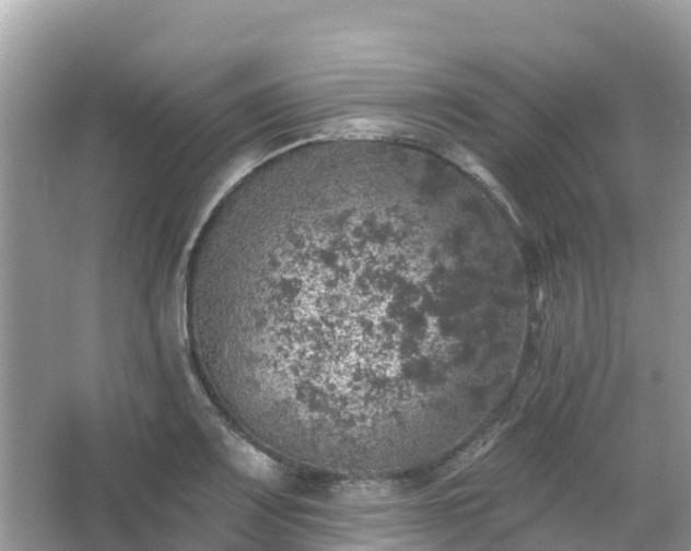 X0000066971083200603311443