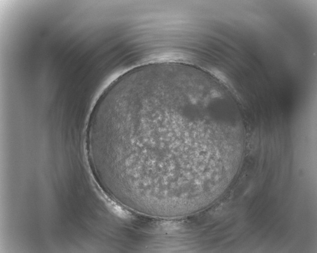 X0000066971086200603311443