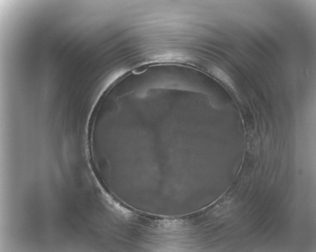 X0000066971087200603311443