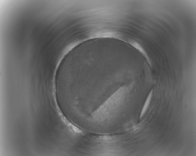 X0000066971088200603311443