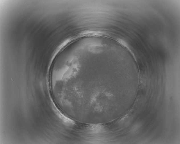 X0000066971090200603311443