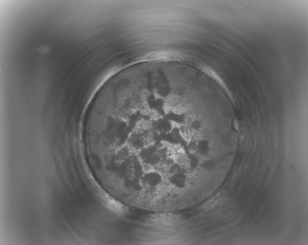 X0000066971091200603311443