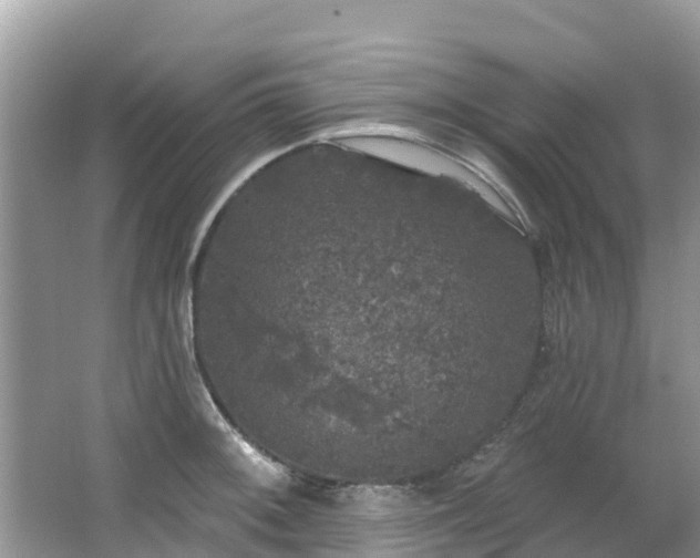 X0000066971092200603311443