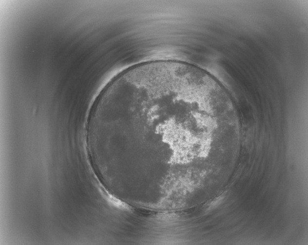 X0000066971094200603311443