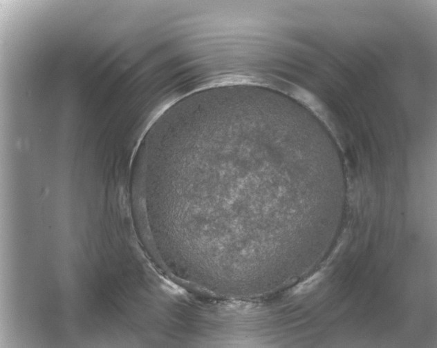 X0000066971097200603311443