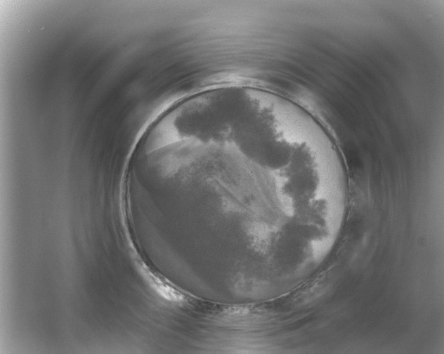 X0000066971098200603311443