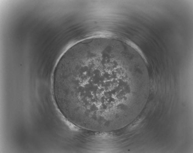 X0000066971099200603311443