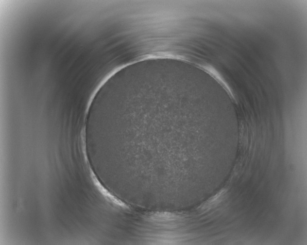 X0000066971100200603311443