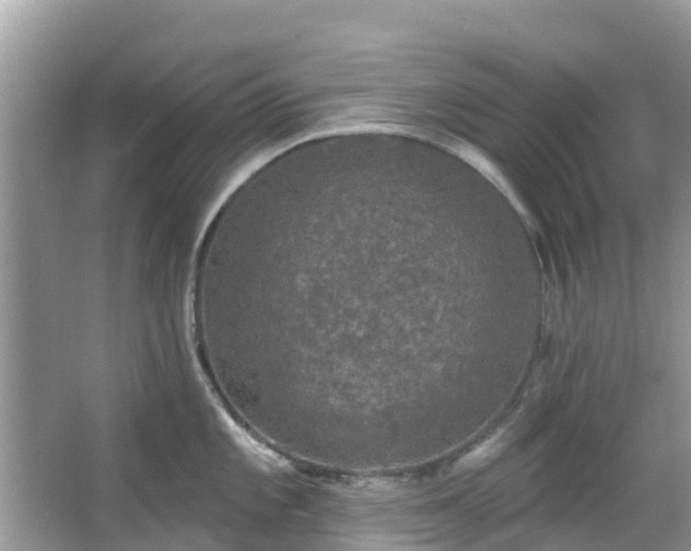 X0000066971101200603311442