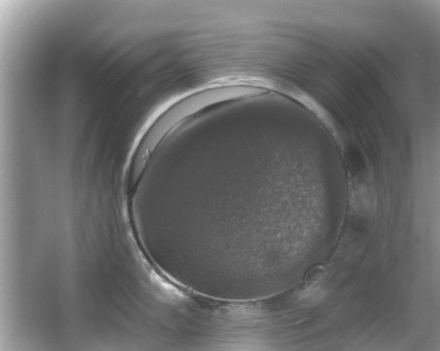 X0000066971102200603311442