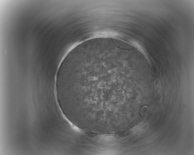 X0000066971103200603311442