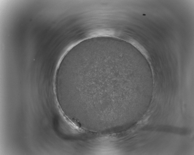 X0000066971104200603311442