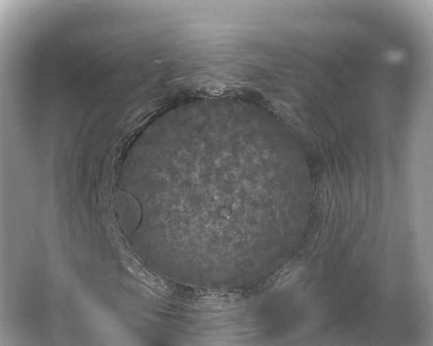 X0000066971105200603311442