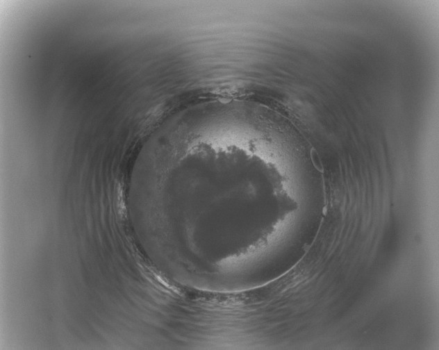 X0000066971106200603311442