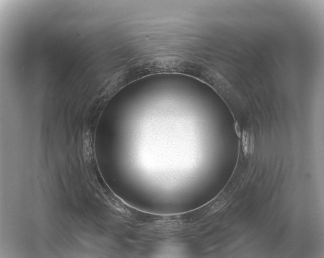 X0000066971107200603311442