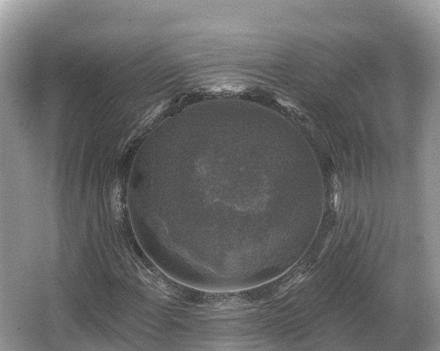 X0000066971108200603311442