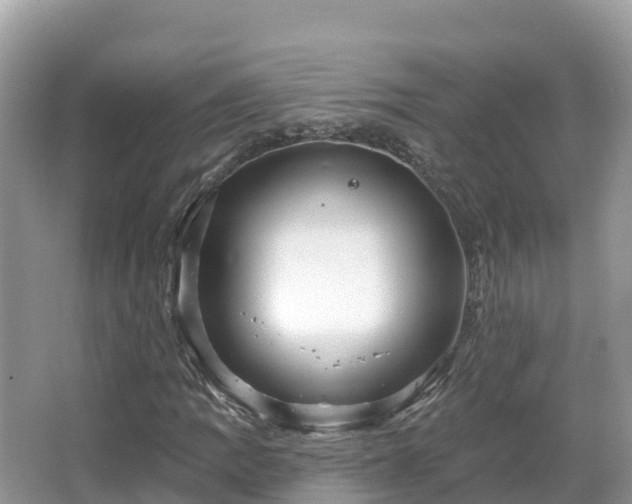 X0000066971109200603311442