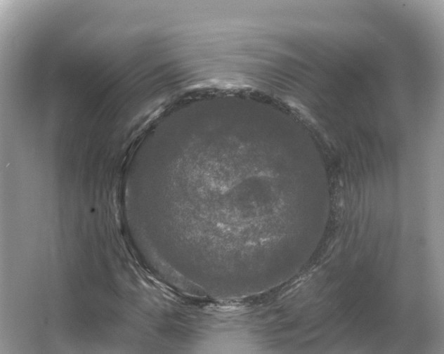 X0000066971110200603311442