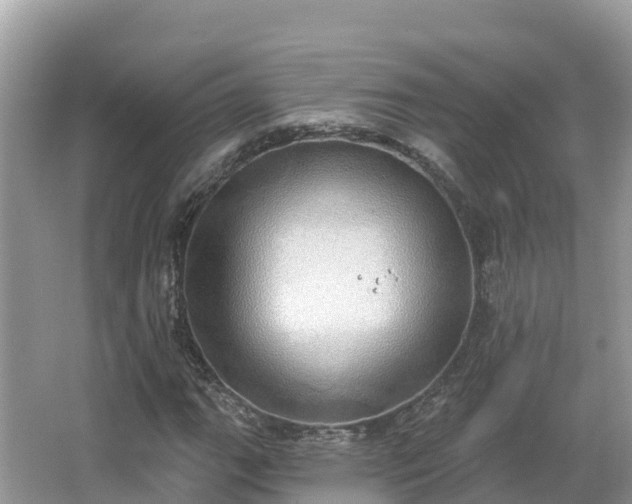 X0000066971111200603311442