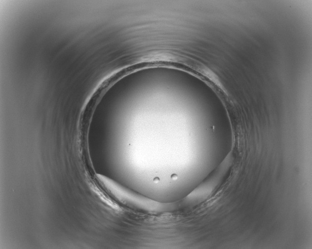 X0000066971116200603311442