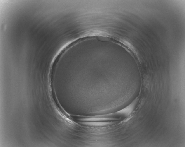 X0000066971120200603311442