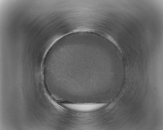 X0000066971124200603311442