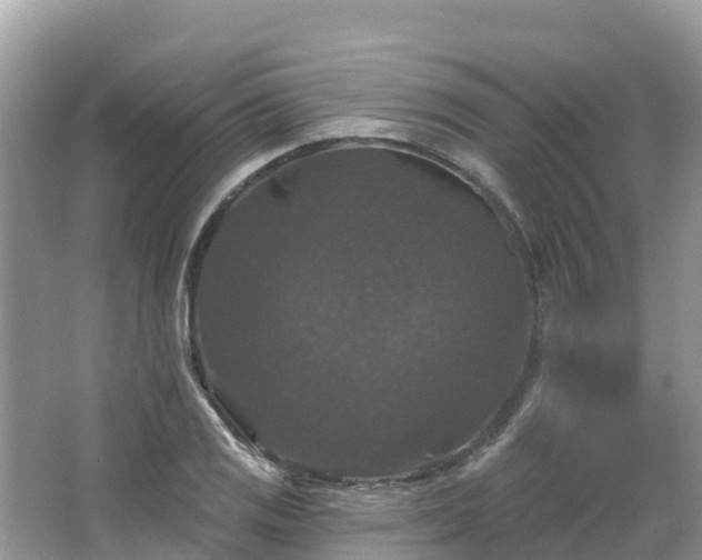 X0000066971125200603311442