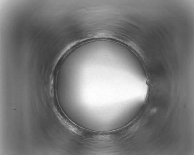 X0000066971126200603311442