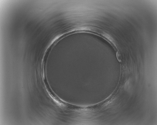 X0000066971127200603311442