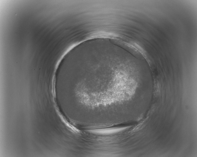 X0000066971128200603311442