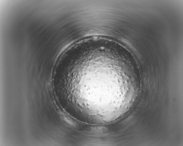 X0000066971129200603311442