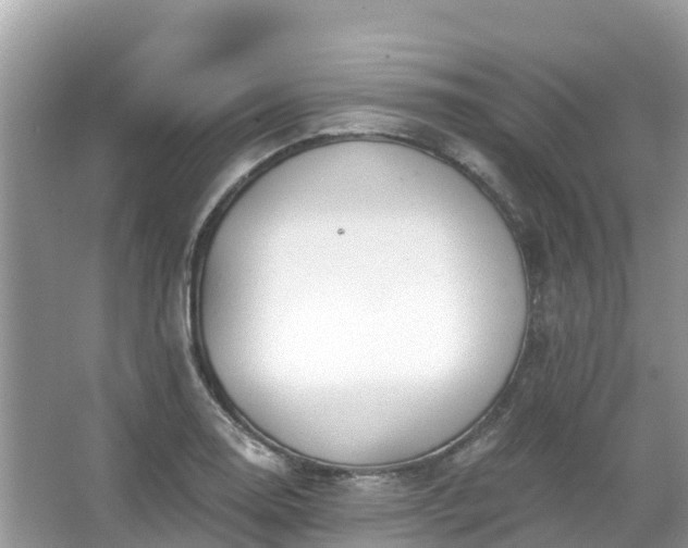 X0000066971130200603311442