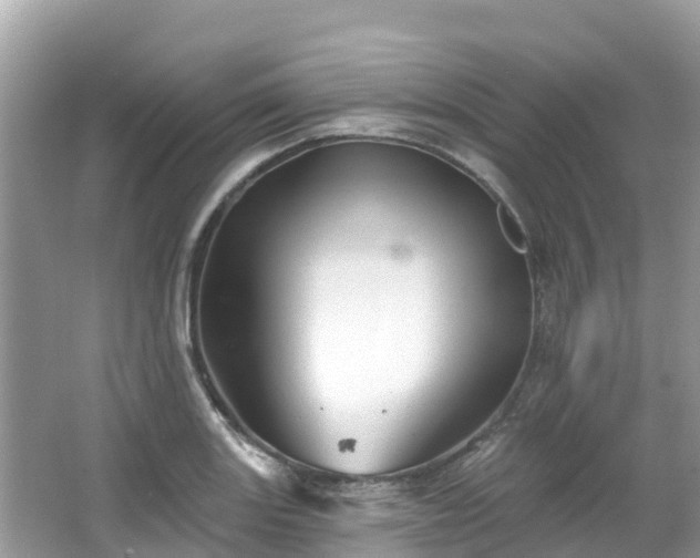 X0000066971131200603311442