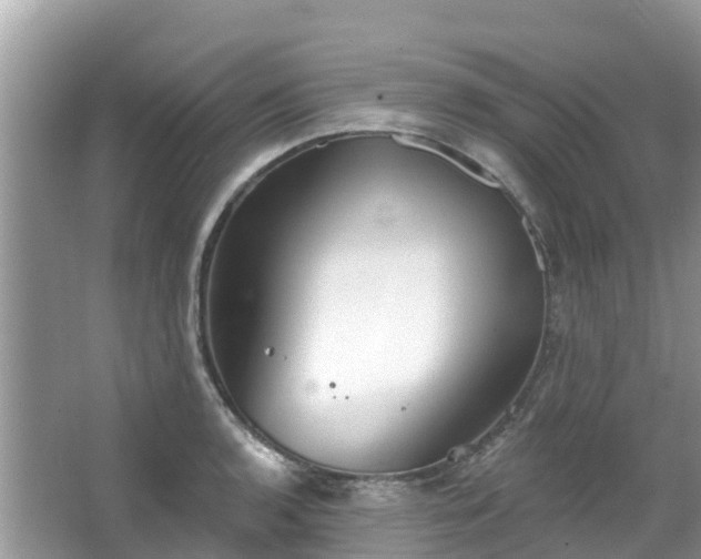 X0000066971136200603311442