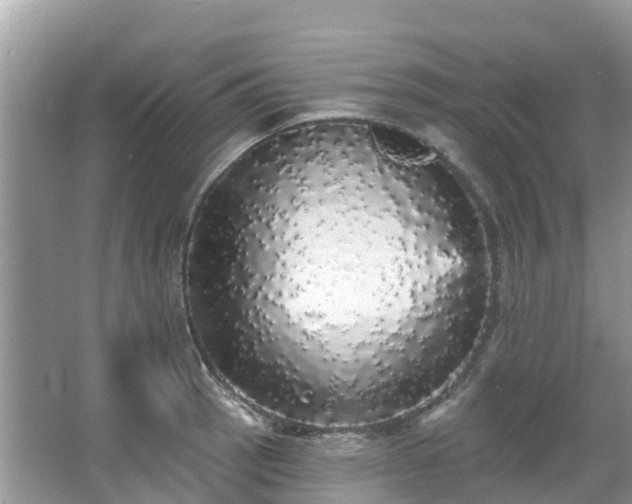 X0000066971137200603311442