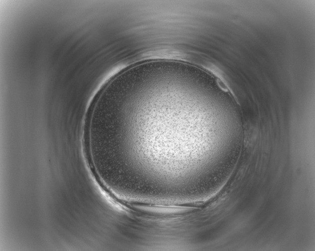 X0000066971139200603311442