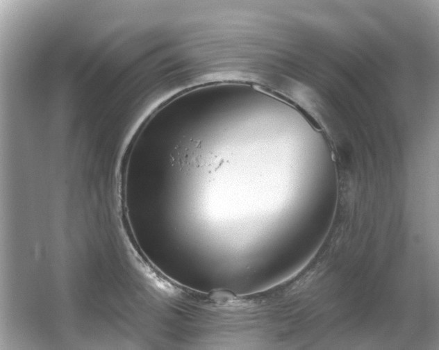 X0000066971140200603311442