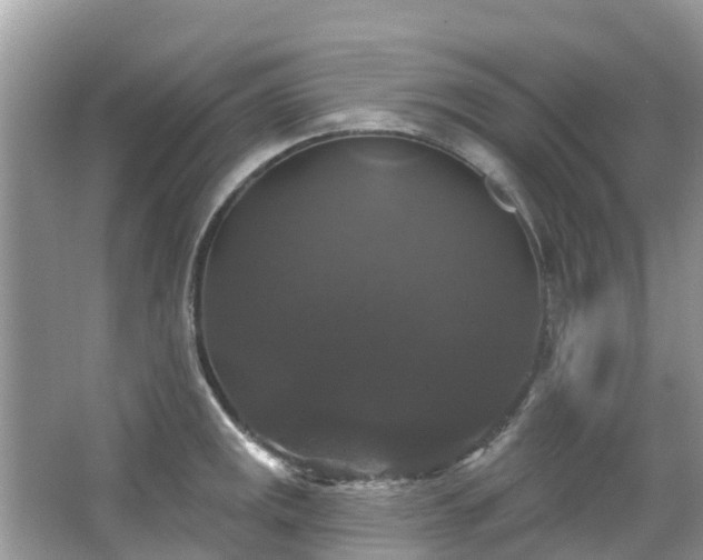 X0000066971141200603311442