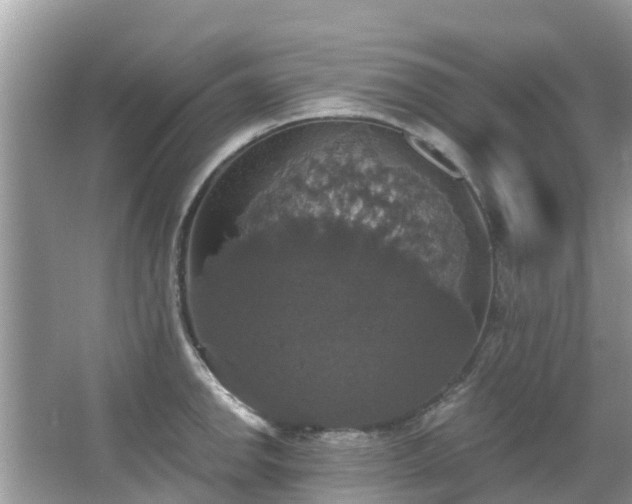 X0000066971142200603311442