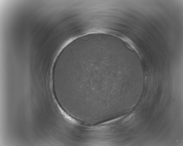 X0000066971143200603311442