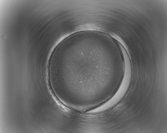 X0000066971144200603311442