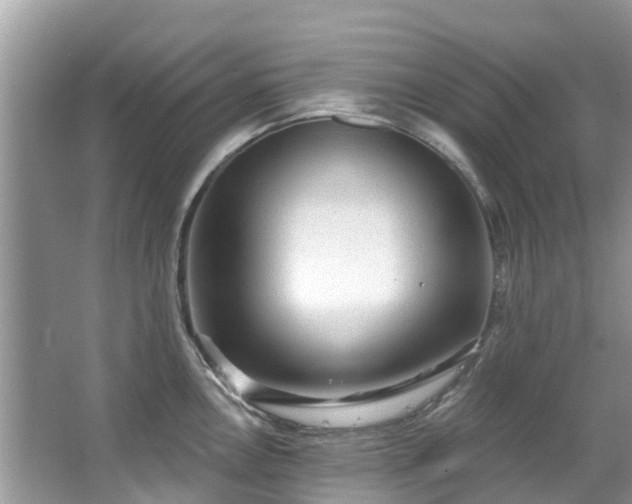 X0000066971146200603311442