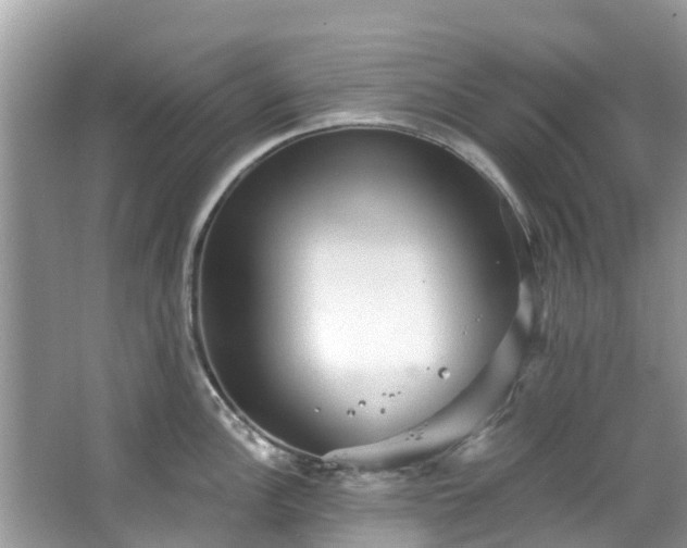 X0000066971148200603311442