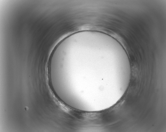 X0000066971150200603311442