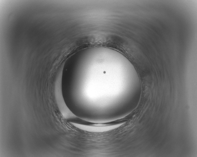 X0000066971153200603311442