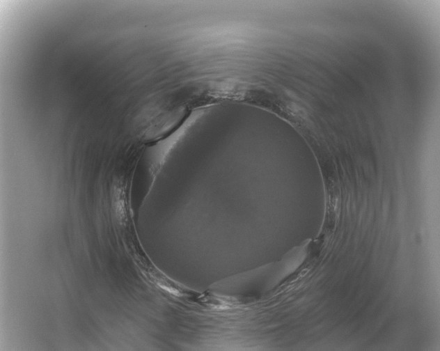 X0000066971154200603311442