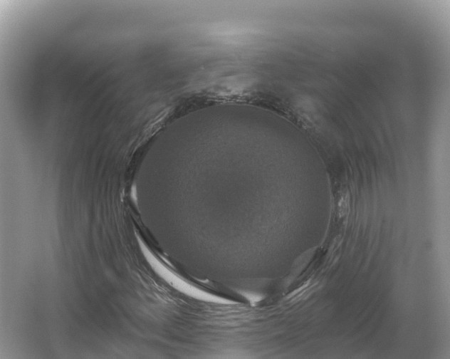 X0000066971156200603311442