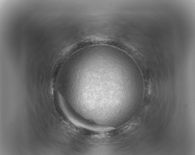 X0000066971157200603311442