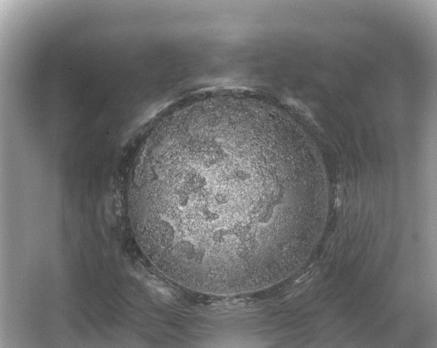 X0000066971159200603311442